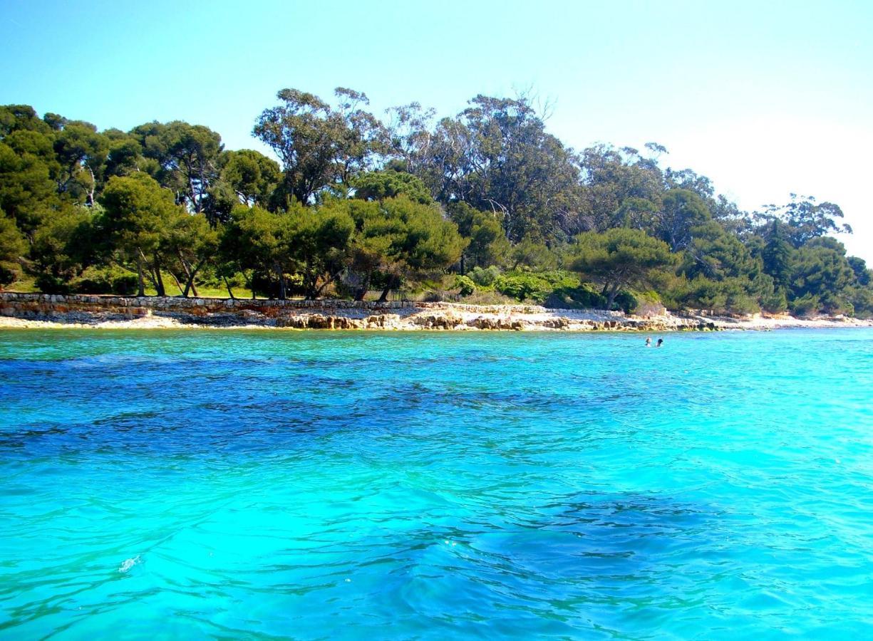 Magnifique Gite de la Garoupe au Cap d'Antibes à 300m des plages Exterior foto